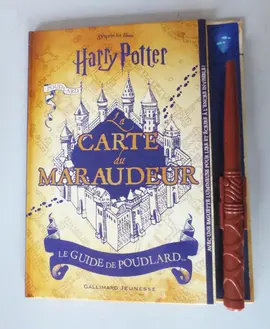 LIVRE POUR ENFANT HARRY POTTER GUIDE DE POUDLARD