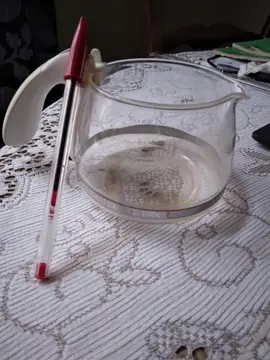 petite verseuse thé ou café