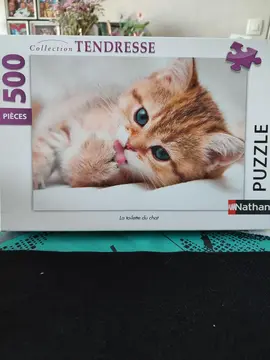 puzzle 500pc