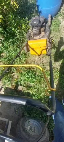 A Saisir tondeuse thermique