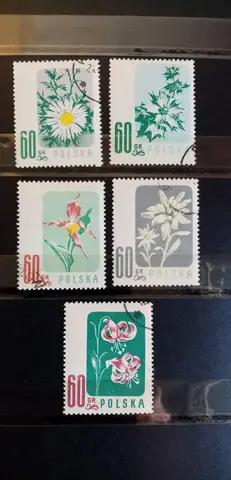 Timbres
