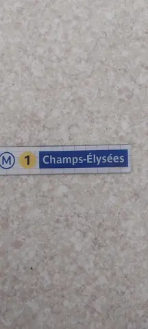 magnet chzmps elysees