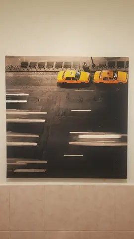 Reproduction photographique