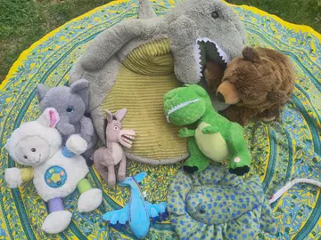 Collection de peluches cherche enfant