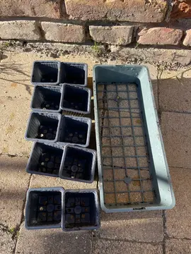 X 19 Pots avec réceptacle