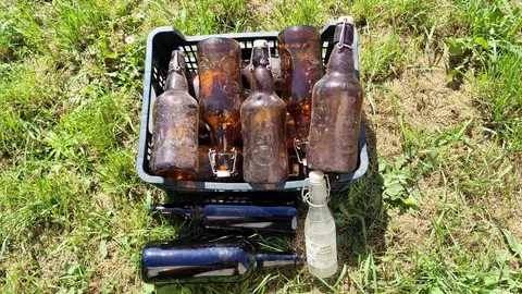 Lot de bouteille de bière (vides)