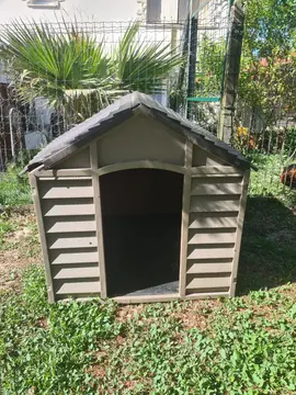 cabane à chien