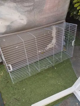 cage lapin/ amster