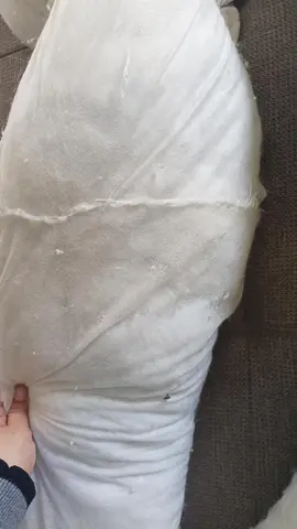 coussin de grossesse