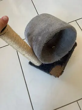 griffoir et jeu pour chat