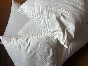 4 coussins Ikea plume