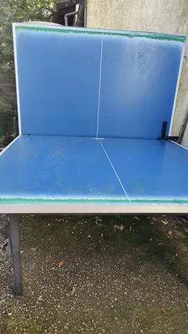 Table de ping-pong