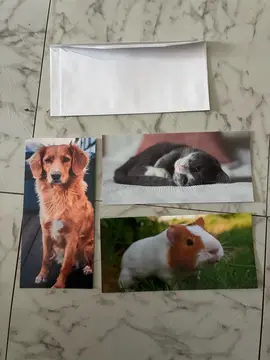 Lot cartes postales neuves