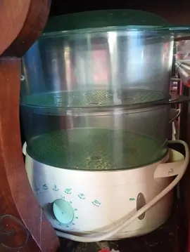 auto cuiseur électrique Vapeur