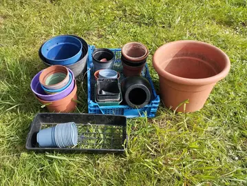 pot de fleurs / plantations