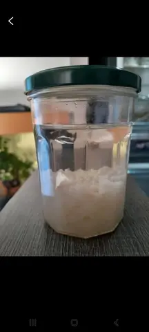 grains kefir de fruits