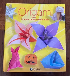 classeur sur L’ ORIGAMI