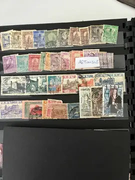 Lot 16 Tunisie