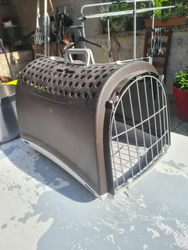 caisse de transport chat