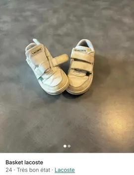 basket lacoste t 24