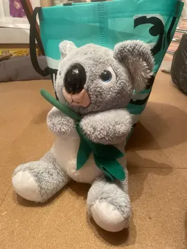 Peluche Koala