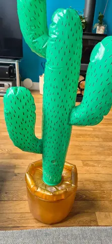 cactus gonflable