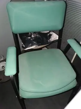 chaise pour personnes âgées