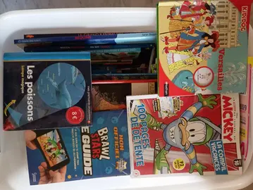 livres enfants 7/12 ans