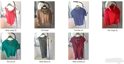 Lot vêtements femme