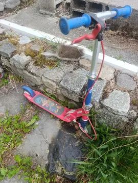 trottinette