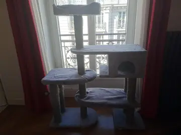 grand arbre à chat
