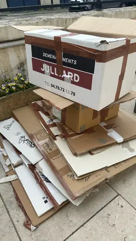 Quinzaine de cartons de déménagement