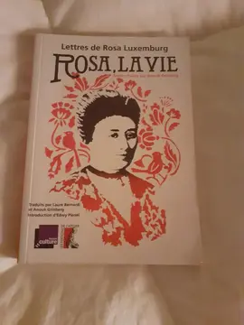 roman biographie sur rosa luxembourg