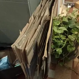 cartons de déménagement