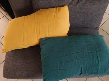 2 coussins de canapé avec housse