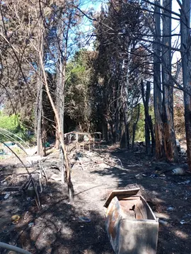bois de chauffage