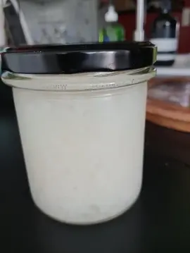 grains de kéfir de fruits