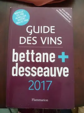 Guide des vins Bettane et desseauve 2017 TBE