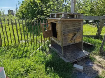Poulailler bois 5 poules