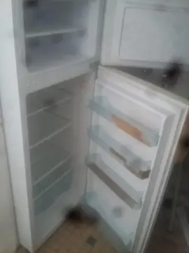 frigo
