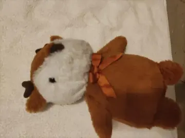 peluche