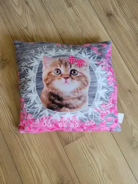 Coussin Chat