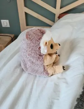 Doudou hérisson Nicotoy