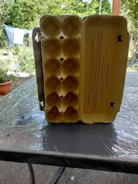 boîte à oeufs
