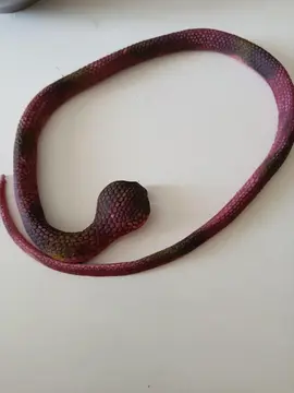 serpent silicone