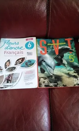 lot livres scolaires.