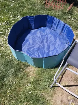 piscine pour chien