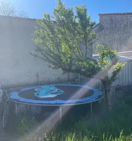 Trampoline