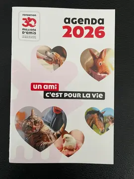 Agenda 2026