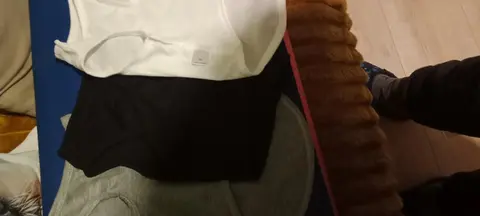 tee shirt pour chien